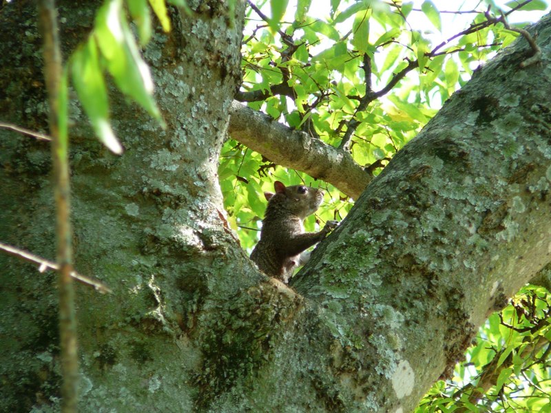image03
